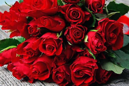 red rose  red rose bouquet  valentine's