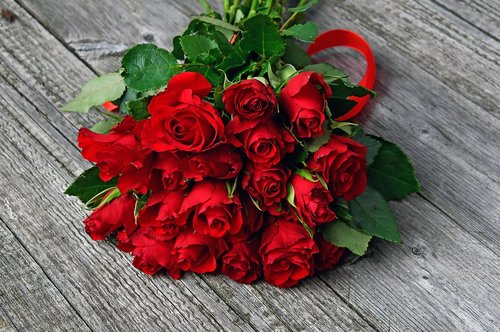 red rose  red rose bouquet  valentine's