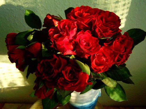 red rose bouquet flower