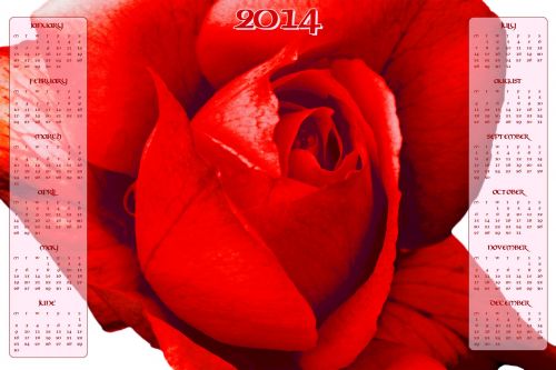 Red Rose Calendar 2014