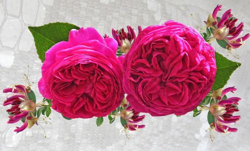 red roses and honeysuckle arrangement