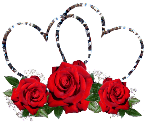 red roses hearts valentine