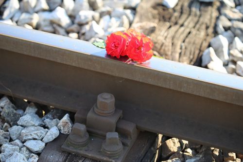 red roses on railway train accident drive carefully