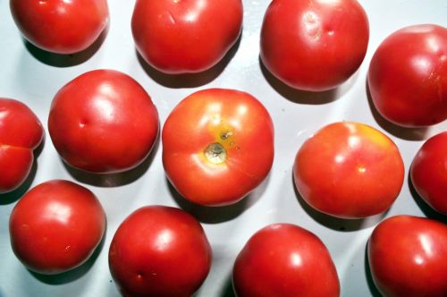 Red Round Tomatoes