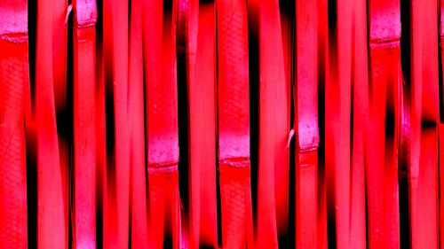 Red Seamless Bamboo Background