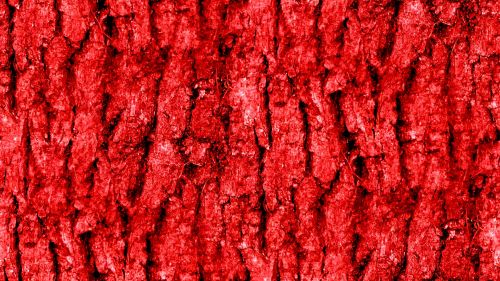 Red Seamless Bark Background