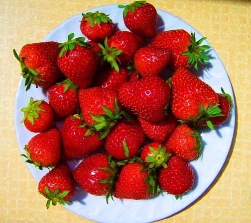 red strawberry earth fruit food