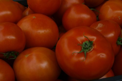 Red Tomatoes