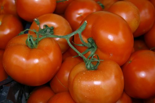 Red Tomatoes