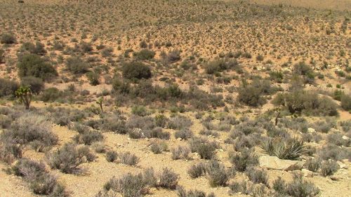 redrock canyon nevada landscape