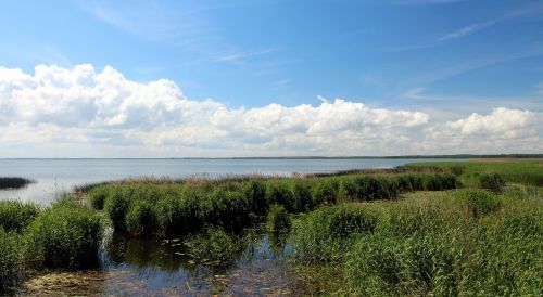 reed river beach