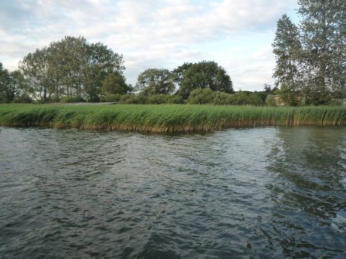 reed riverside bank