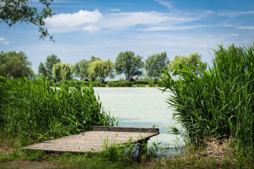 reed lake landscape