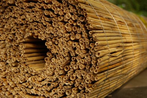 reed roll fence