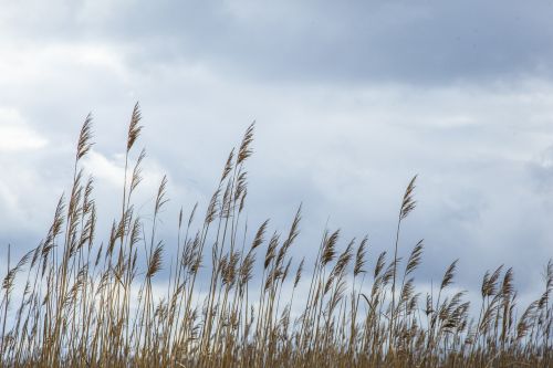reeds lake clouds