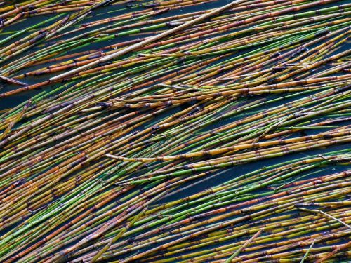 reeds finnish straw