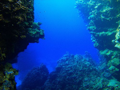 reef rotesmeer underwater