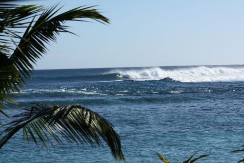 reef surf waves