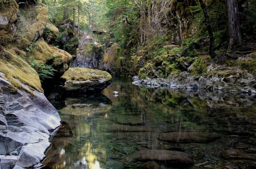 reflecting pool opal creek stream