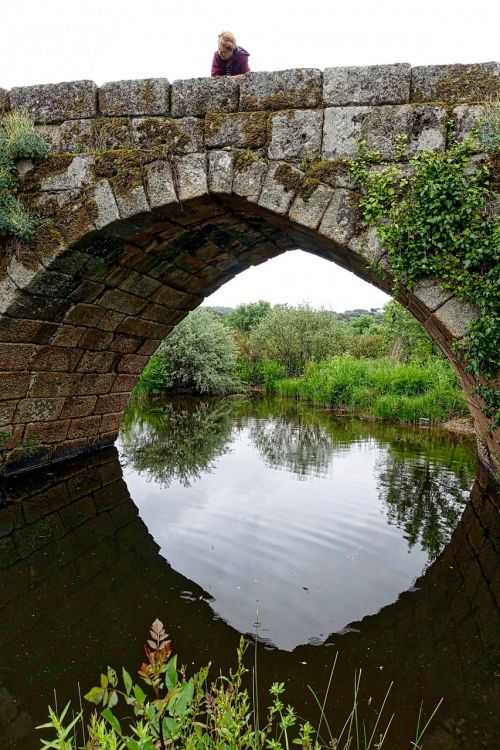 reflection arch bridge
