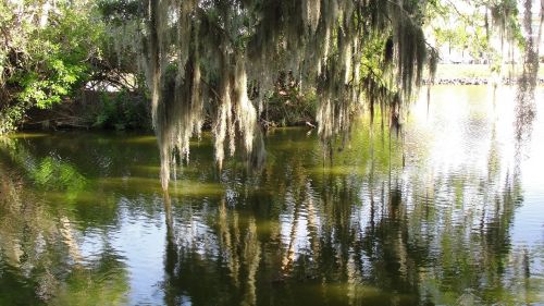 reflection water nature