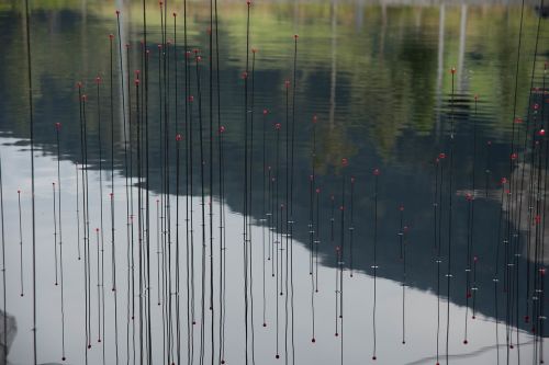 reflection pond artwork