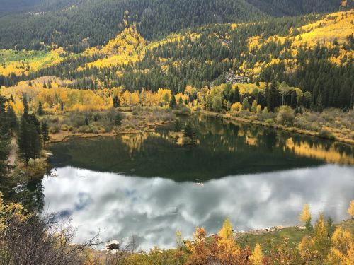 reflection nature water