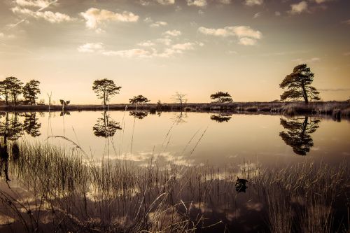 reflection landscape water