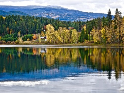 reflection water autumn