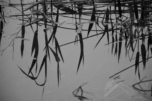 reflection water mirror