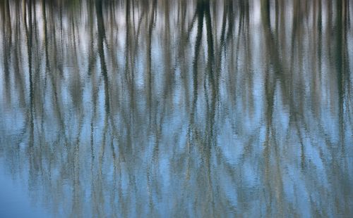 reflection painting water