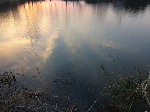 reflection sunset pond