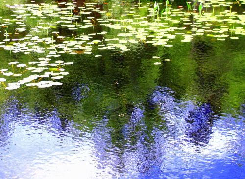 reflection water ripples