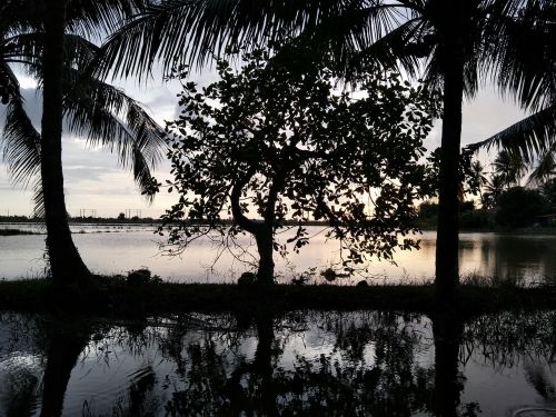 reflection water tropical