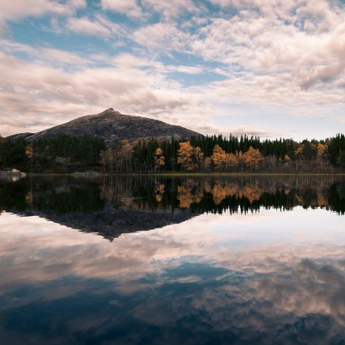 reflection autumn water