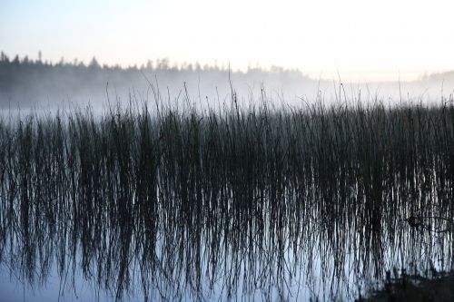 reflection water lake