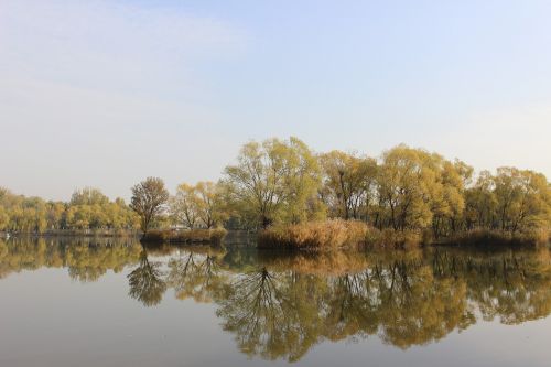 reflection nature waters