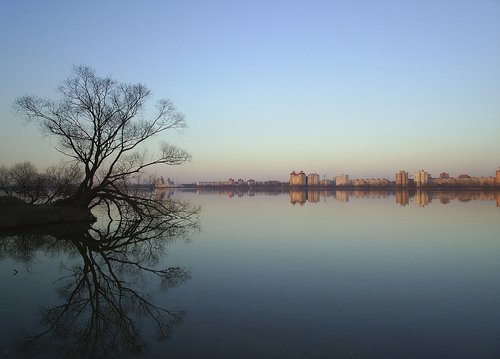 reflection  water  nature