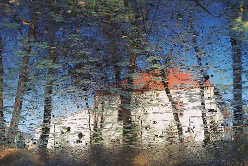 reflection  pond  landscape