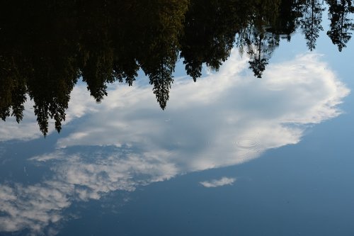 reflection  water  lake