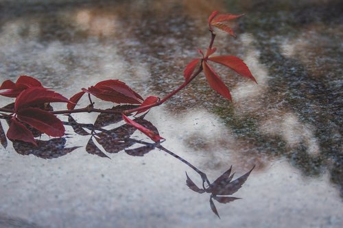 reflection  granite  nature