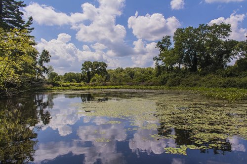 reflection  water  lake