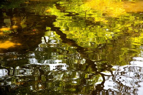 reflection water japan