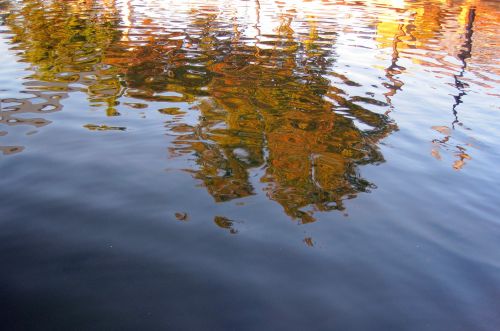 Reflection On Water