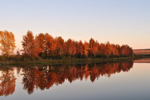 Reflection