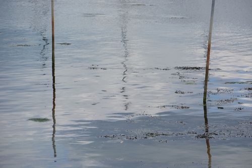 reflections water nature