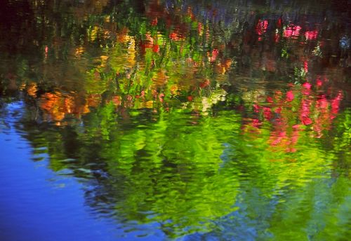 reflections avon river christchurch