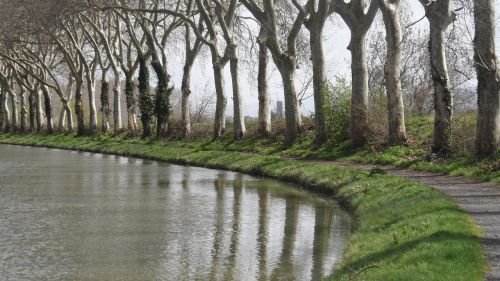 reflections trees water