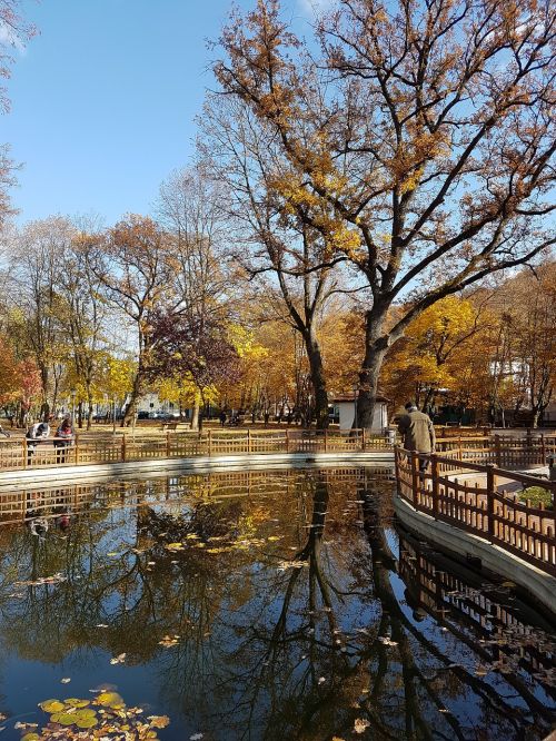 reflections in water landscape autumn