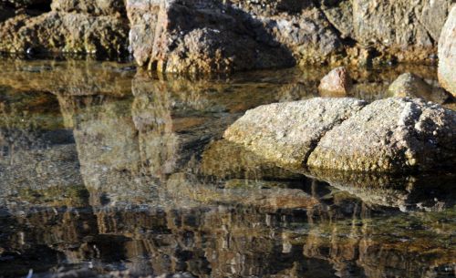 Reflective Tidepool #2